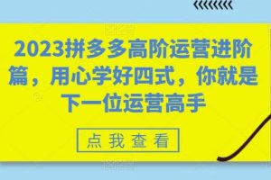 2023拼多多高階運營進階篇，用心學好四式，你就是下一位運營高手