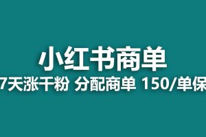 2023最強藍海項目，小紅書商單項目，沒有之一