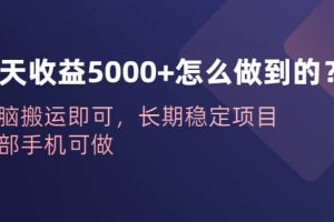 一天收益5000 怎么做到的？無腦搬運即可，長期穩定項目，一部手機可做