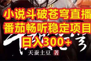 小說斗破蒼穹直播，番茄暢聽日入300 穩定項目