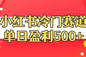 小紅書冷門賽道，單日盈利500 【揭秘】