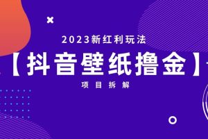2023新紅利玩法:抖音壁紙擼金項目