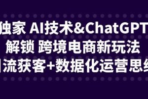 獨家 AI技術ChatGPT解鎖 跨境電商新玩法，引流獲客 數據化運營思維