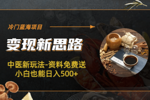 冷門藍海項目-中醫新玩法-冷門藍海項目-中醫新玩法-資料免費送小白也能日入500 500