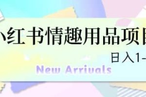 最新小紅書情趣用品項目，日入1-4k