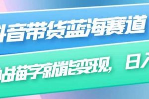 抖音帶貨藍(lán)海賽道，無需真人出鏡，字帖描字就能變現(xiàn)，日入上千（附帶全套教程）