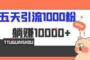 5天引流1000 ，賺了1w