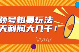 視頻號(hào)粗暴玩法，一天利潤(rùn)大幾千