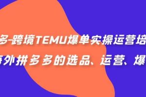 拼多多-跨境TEMU爆單實操運營培訓(xùn)班，海外拼多多的選品、運營、爆單