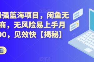 2023最強藍海項目，閑魚無貨源電商，無風險易上手月賺10000，見效快【揭秘】