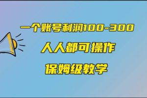 一個(gè)賬號(hào)100-300，有人靠他賺了30多萬，中視頻另類玩法，任何人都可以做到