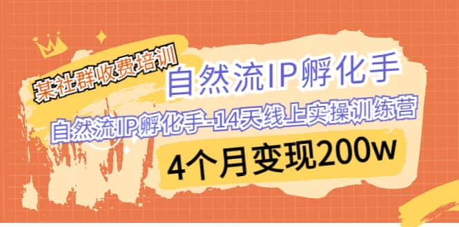 某社群收費培訓：自然流IP 孵化手-14天線上實操訓練營 4個月變現200w插圖