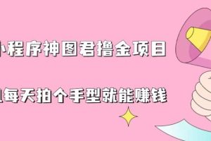 抖音小程序神圖君擼金項目，用手機每天拍個手型掛載一下小程序就能賺錢