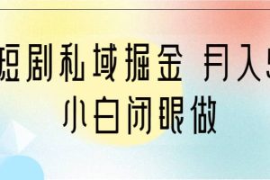 靠短劇私域掘金 月入5W 小白閉眼做（教程 2T資料）