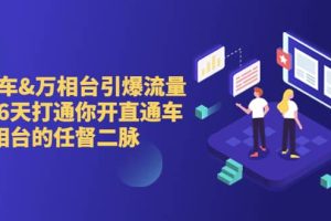直通車 萬相臺引爆流量班，6天打通你開直通車·萬相臺的任督 二脈