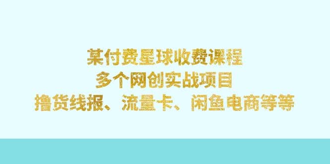 某付費星球課程：多個網創實戰項目，擼貨線報、流量卡、閑魚電商等等插圖