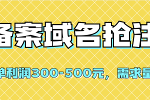 【全網首發】備案域名搶注，一單利潤300-500元，需求量大