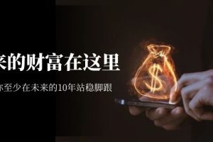 某收費文章《未來的財富在這里》能讓你至少在未來的10年站穩腳跟