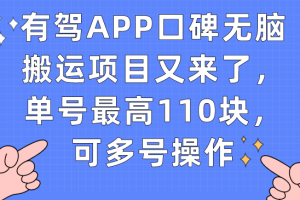 有駕APP口碑無腦搬運項目又來了，單號最高110塊，可多號操作