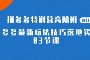 2023拼多多·特訓(xùn)營高階班【9月13日更新】拼多多最新玩法技巧落地實操-83節(jié)