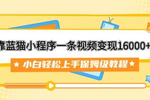 靠藍貓小程序一條視頻變現16000 小白輕松上手保姆級教程（附166G資料素材）