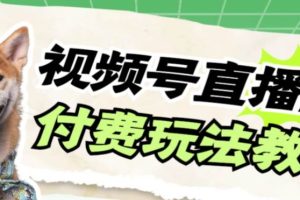 視頻號美女付費無人直播，輕松日入500 【詳細玩