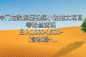 冷門右豹解壓視頻小說推文項(xiàng)目，零粉絲變現(xiàn)，日入1000-1500 （含教程）