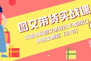 圖文帶貨實戰課：無需出鏡圖文帶貨2023新風口，快速出爆款（33節）