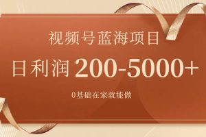 視頻號藍海項目，0基礎在家也能做，一天200-5000 【附266G資料】