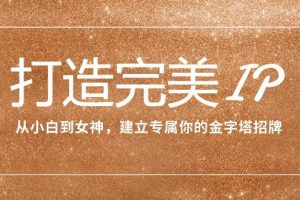 打造完美IP：從小白到女神，建立專屬你的金字塔招牌（15節(jié)課）