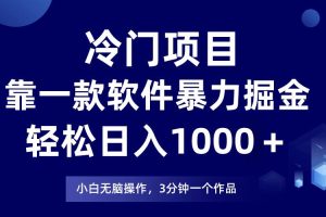 冷門項(xiàng)目靠一款軟件，暴力掘金日入1000＋，小白輕松上手