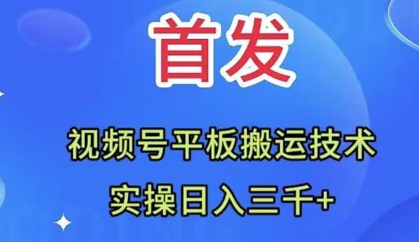 全網首發：視頻號平板搬運技術，實操日入三千＋插圖