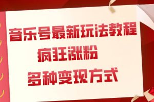 音樂號(hào)最新玩法教程，瘋狂漲粉，多種拓展變現(xiàn)方式（附保姆級(jí)教程 素材）