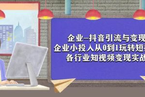 企業-抖音引流與變現：企業小投入從0到1玩轉短視頻  各行業知視頻變現實戰