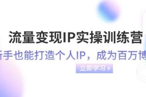 流量變現(xiàn)-IP實操訓(xùn)練營：新手也能打造個人IP，成為百萬博主（46節(jié)課）
