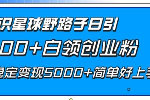 知識星球野路子日引300 白領創業粉，日穩定變現5000 簡單好上手！