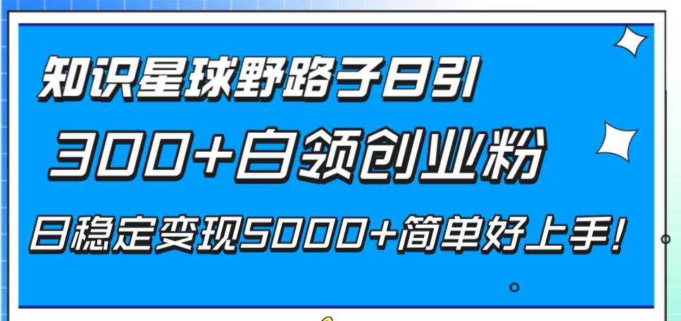 知識星球野路子日引300 白領(lǐng)創(chuàng)業(yè)粉，日穩(wěn)定變現(xiàn)5000 簡單好上手！插圖