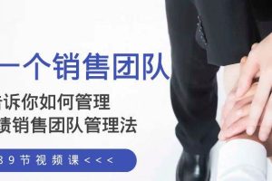 給你一個銷售團隊，告訴你如何管理，高業(yè)績銷售團隊管理法（89節(jié)課）
