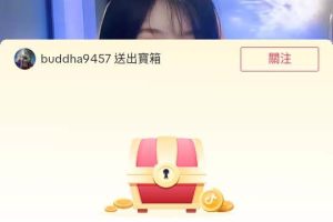 外邊收費2980的內部海外TIktok直播間搶福袋項目，單窗口一天40美刀【搶包腳本 使用教程】