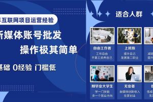 自媒體賬號批發，看我怎么一天賺1個W，超簡單