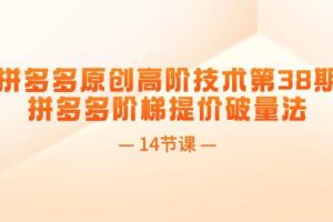 拼多多原創高階技術第38期，拼多多階梯提價破量法（14節課）