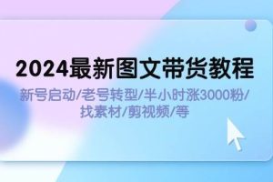 2024最新圖文帶貨教程：新號啟動/老號轉型/半小時漲3000粉/找素材/剪輯