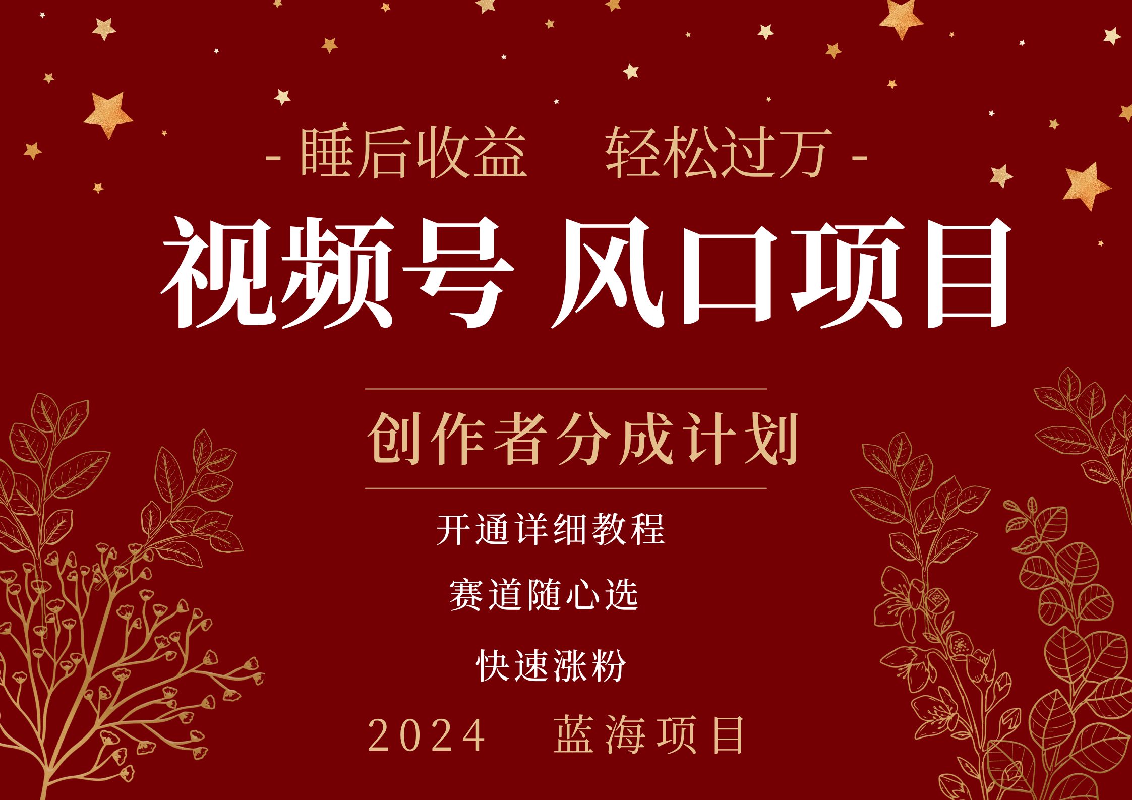 擁有睡眠收益的微信視頻號大風口項目，輕松月入過萬+，多賽道選擇，可矩陣，玩法簡單輕松上手