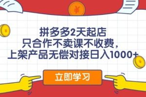 拼多多2天起店，只合作不賣課不收費，上架產品無償對接日入1000+