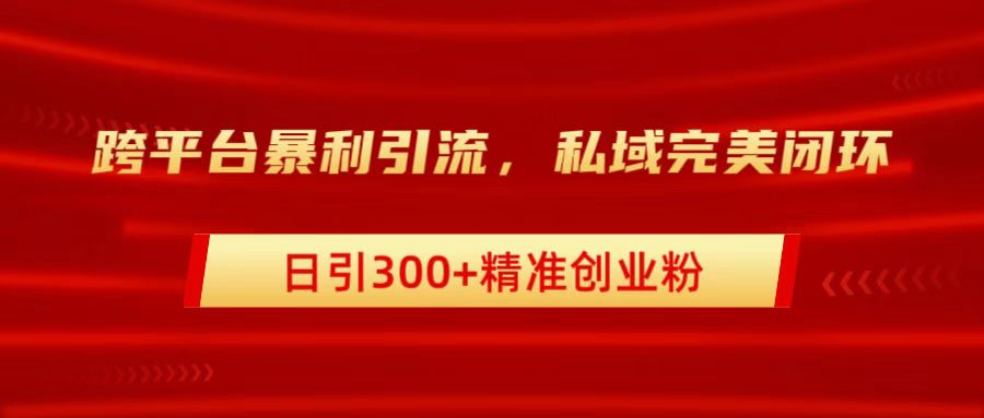 跨平臺暴力引流，私域完美閉環，日引300+精準創業粉