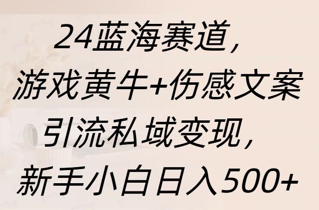 24藍海賽道，游戲黃牛+傷感文案引流私域變現，新手日入500+