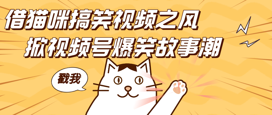 借貓咪搞笑視頻之風，掀視頻號爆笑故事潮，輕松日賺四位數，開啟無門檻賺錢新體驗！
