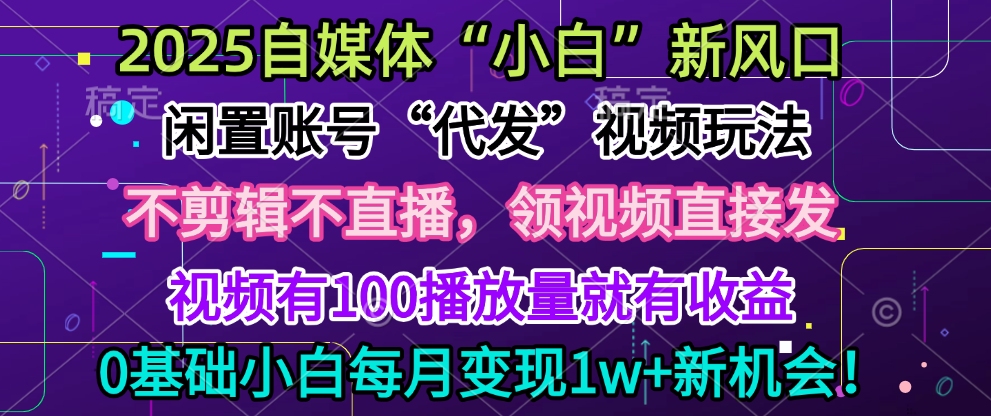 2025每月躺賺5w+新機會，閑置視頻賬號一鍵代發玩法，0粉不實名不剪輯，領了視頻直接發，0基礎小白也能日入300+
