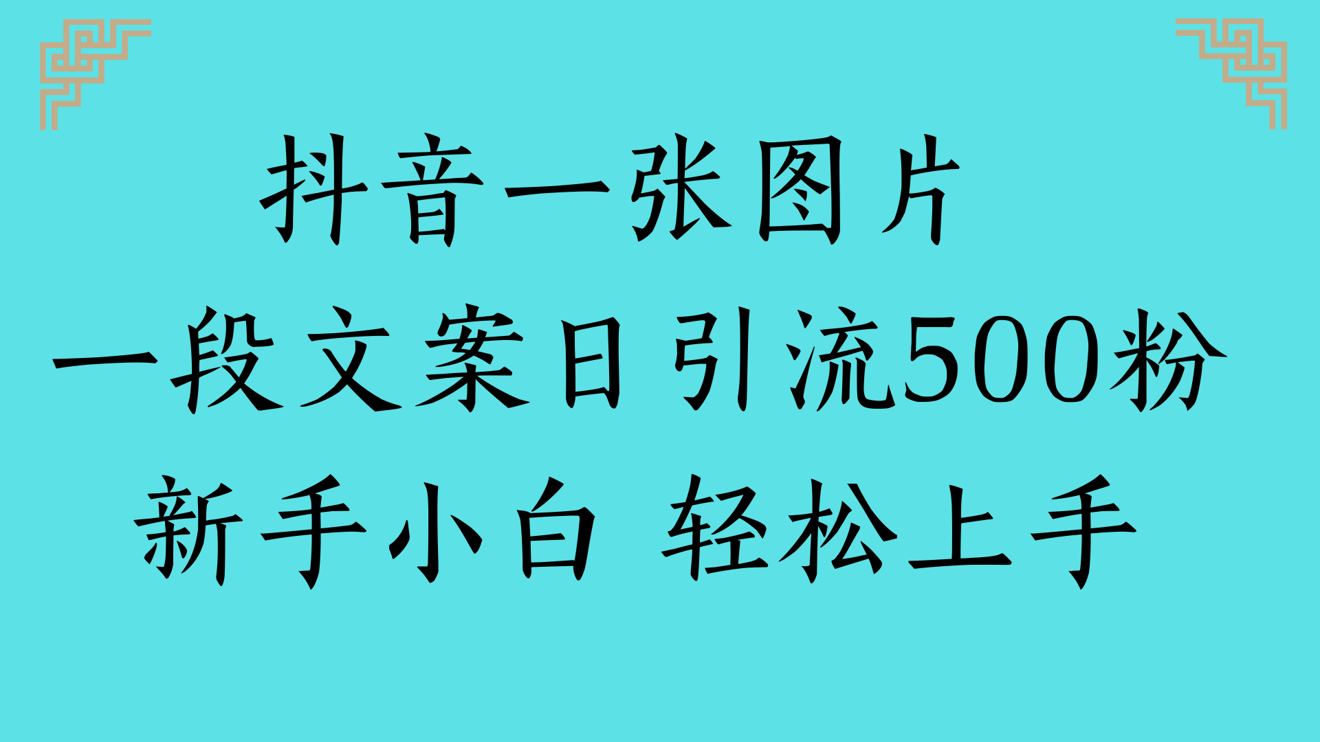 抖音一張圖片 一段文案日引流500粉新手小白 輕松上手