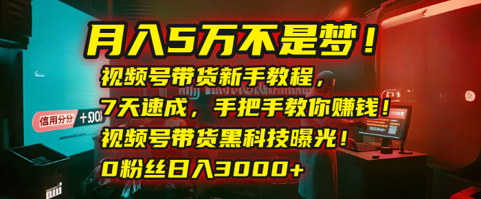 月入5萬不是夢!視頻號帶貨新手教程,7天速成,手把手教你賺錢!視頻號帶貨黑科技曝光!0粉絲日入3000+